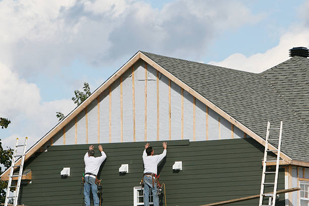 Best Stone Veneer Siding  in Burt, MI