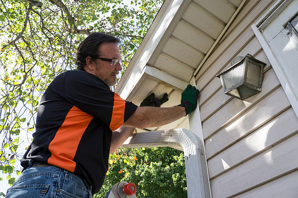 Best Siding Removal and Disposal  in Burt, MI